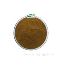 Organic Folium Apocyni Veneti Extract Powder